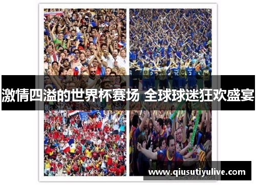 激情四溢的世界杯赛场 全球球迷狂欢盛宴