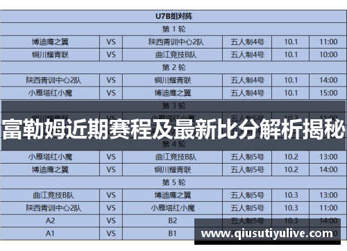 富勒姆近期赛程及最新比分解析揭秘
